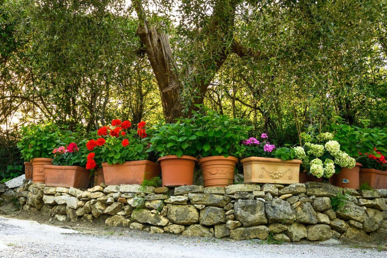 B&B Villa Giulia Saturnia Bagian luar foto