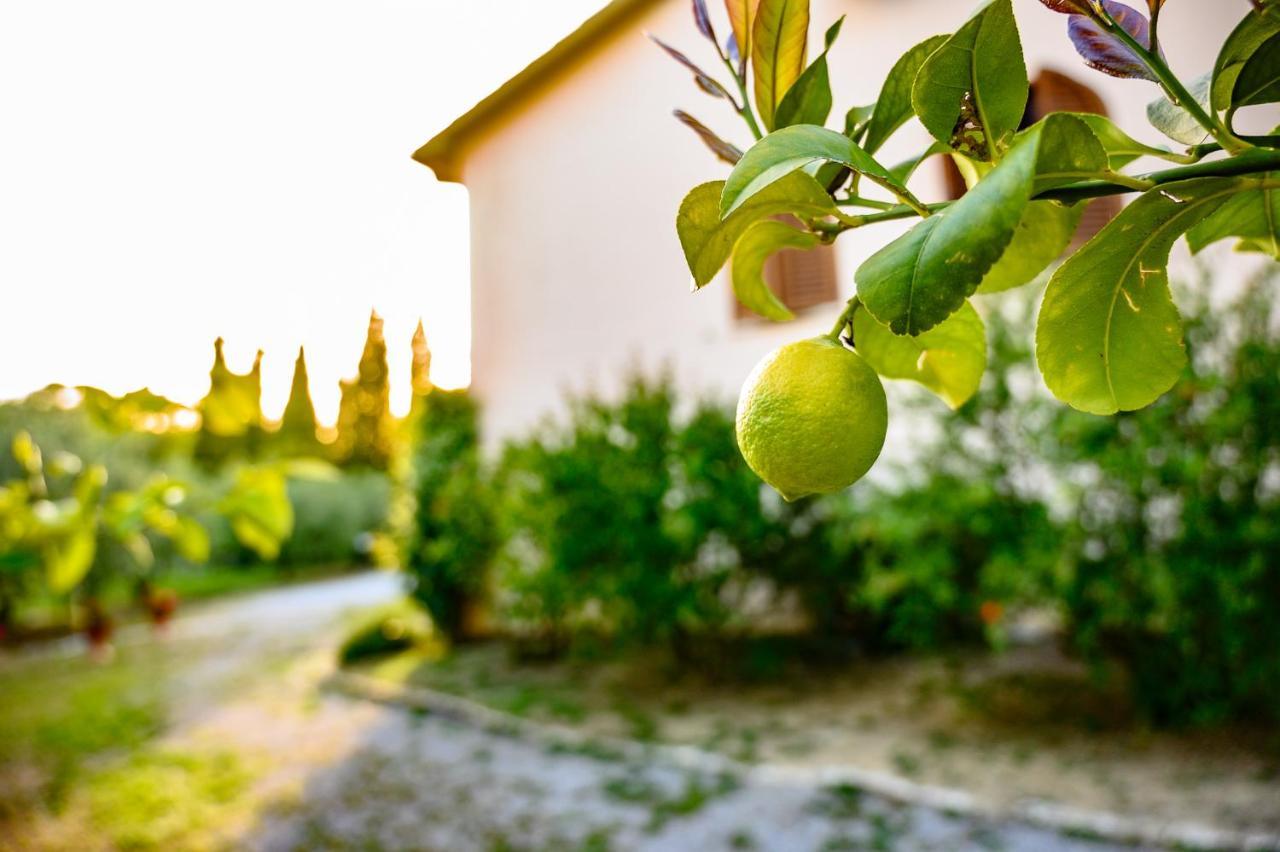 B&B Villa Giulia Saturnia Bagian luar foto